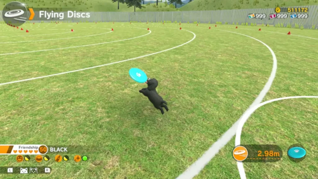 Little Friends Dogs & Cats Full Game